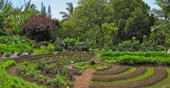 SE FORMER: Permaculture: De nombreux Documents au Formats PDF circulent librement sur la toile. Pour y faciliter l’accès au plus grand nombre et promouvoir le partage de ces connaissances, nous avons décidé d’en réunir quelques uns sur cette page. Permaculture, Agro-Ecologie, Auto-Suffisance…