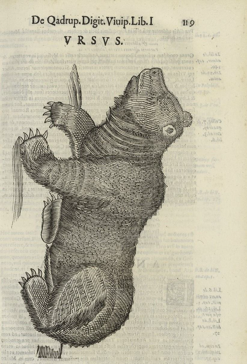 Ulyssis Aldrovandi... De Quadrupedibus digitatis viviparis libri tres et de quadrupedibus digitatis oviparis libri duo. Bartholomaeus Ambrosinus...