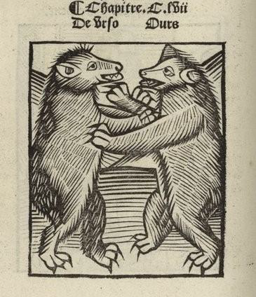 Hortus sanitatis : le traictie des bestes